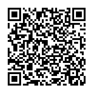但林封谨脑海当中的那些残缺记忆似乎只是对龙涡的底部的一些线路十分详细二维码生成