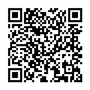 但林辰相信以自己如今的修炼速度绝对是妖孽般的存在二维码生成