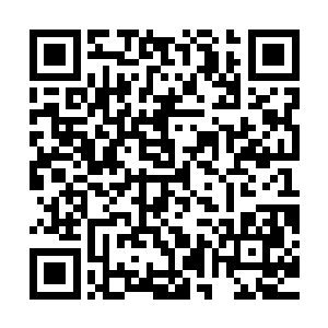 但楚旬还是没有想到他的基因损伤已经严重到了如此可怕的程度二维码生成