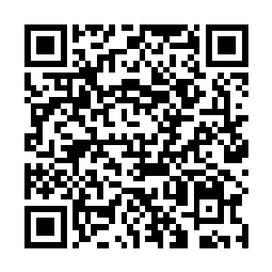 但楚暮却可以从他的眼神之中明白对方所要表达的意思二维码生成