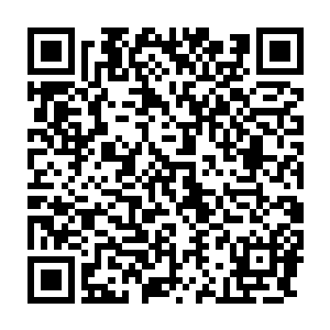 但正面对着张怀文而坐的钱市长和秦岚他们都发现了张怀文的变化二维码生成