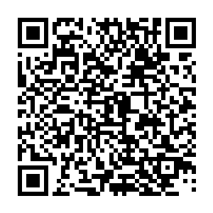 但毕竟新游戏的内容还是未知数……在自己有绝对优势的时候不好好利用二维码生成