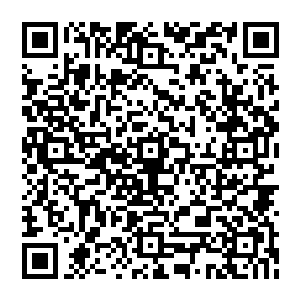 但求无过暗道一声按捺住内心的紧张默默的看着如同黑暗中的一条毒蛇吐着杏子随时准备着致命一击的出现二维码生成