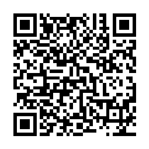 但江湖还是凭借着坚强的实力……顽强地支撑了十几个小时二维码生成