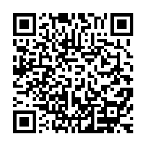 但没有人会因此否认软件的重要性――这样的东西一旦交出来二维码生成