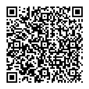 但没有历史沉淀时间不可能让大陆沿海的青脉诸侯俯首听令……沿海各州侯可不是仙门出身的青木子二维码生成