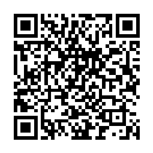 但泰兰德全新的巨熊之躯上刚硬浓密的毛发却是最好的护甲二维码生成