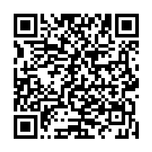 但浑身长袍却沾满了血迹的白衣男子眼中也闪过一缕寒芒二维码生成