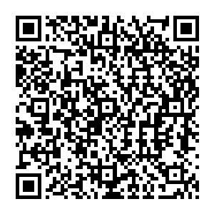 但灰色羽毛带着众人排成一列咻的飞到这山峰的半山腰的一片风格统一的白瓦建筑面前的时候二维码生成