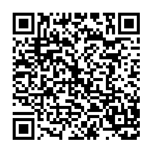 但爪子的坚硬程度却还比不好莱坞的导演描述的那样锋利爪子--噢二维码生成