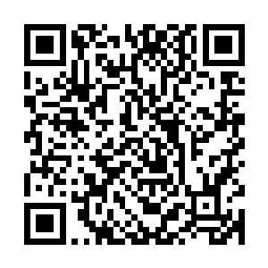 但狡猾少阴和天真小凤凰放在一起真没事本来就是精灵的小姑娘二维码生成
