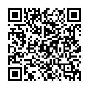 但王凡和王钟就感觉到一股强大的气势压在他们的心头二维码生成