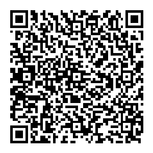 但现在 一次性出现了六个 原本以为会是一个个对决 但玩玩不曾想到 会如此出现 虽然意外 但心头却是毫不惧怕二维码生成