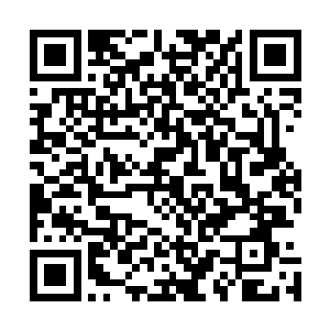 但现在一头刚出世没多久的小龙去挑战一头庞大无比的巨龙二维码生成