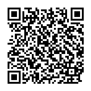但现在也不能保证大荒洞天内一定有没有使用的时间之塔留着给自己二维码生成