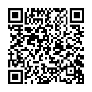 但现在就算是他也被两人的强大实力所深深的震撼了二维码生成