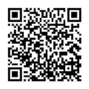 但现在忠于革新派的精锐倾巢而出去讨伐四大选帝侯家族的叛逆二维码生成