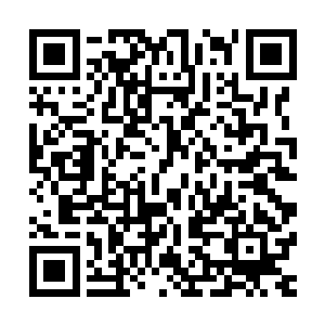 但现在每隔一段时间都会有外门和自己一样的强者来切磋交流二维码生成