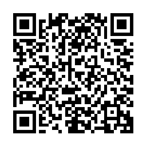 但由于曾经的婆罗门神族也是大千世界中最强大的流浪种族之一二维码生成