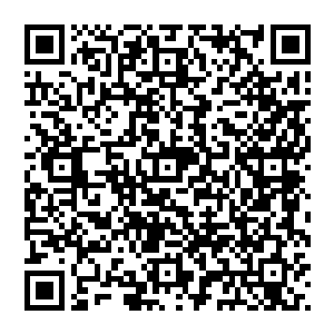 但相同的是 这两张脸 都与他一模一样 看到他们 好似就看到了自己 那是万古岁月前的自己吗二维码生成
