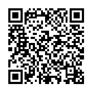 但看到盗墓贼的爷爷和另外一位同伙已经站在一条战线上二维码生成
