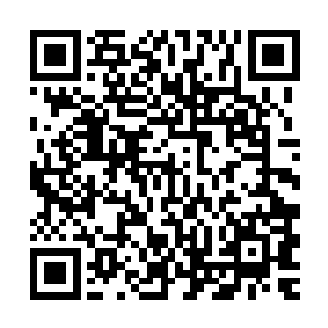 但看到那小祭司在飞山和巫象的庇护下硬是熬到神罚结束才出现二维码生成