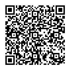 但真实的情况绝对不是动动嘴皮子就可以把进驻斯拉迪克的其他国家的部队请出城的二维码生成