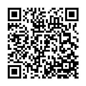 但真正动手的还是秦方……先是逼得唐天林走投无路二维码生成