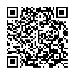 但真气撕扯着帐篷时的恐怖景象足以令他们想象到风暮寒的情绪二维码生成