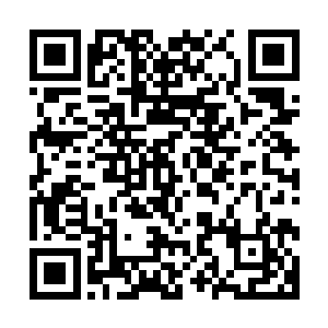 但眼前的情况却不允许他去完成自己的计划……贸然行事的话二维码生成