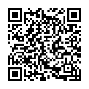 但眼前这座八荒神殿让蛟神殿数名神殿长老都无可奈何二维码生成