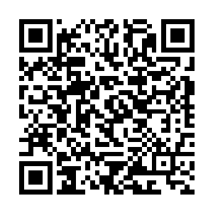 但确实成功率不是很大……但是得到了混乱拳法之后二维码生成