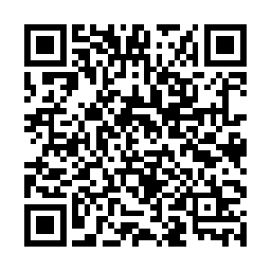 但福德和动物的沟通能力貌似和普通人类没什么区别二维码生成