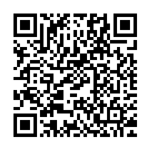 但秦宇不会自大到认为自己真的就可以和地仙五重天的强者一战二维码生成