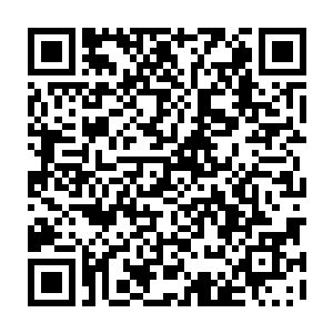 但秦方他们依旧没有成功……他最终是死在金牛圣兽的兽魂的反噬之下的二维码生成