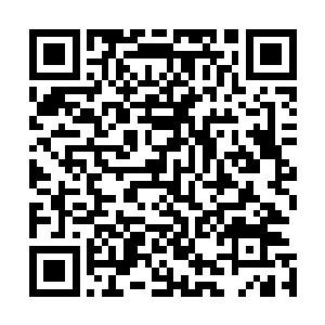 但秦方却不会真的当做什么也不存在的……真要是那样的话二维码生成