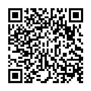 但等他们从家丁嘴里得知外面暗传的消息时却是眼前一黑二维码生成