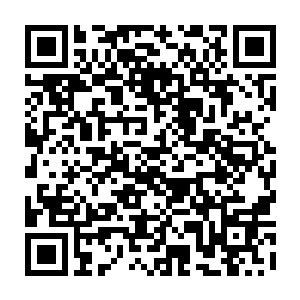 但紧接着他就发现挡在他眼前的竟然同样只是一副由白骨组成的爪子……二维码生成