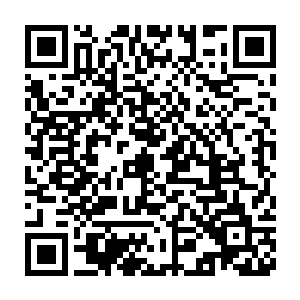 但结果却是让秦方常常的松了一口气的……吸血鬼亲王伊利亚的死亡二维码生成