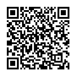 但结果看到雨果锲而不舍地询问阿尔各种各样的问题二维码生成