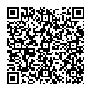 但绝大多数的特殊体质并不会带来多大的便利……甚至可能还会成为当事人的困扰二维码生成