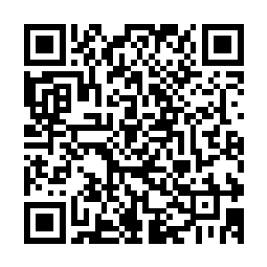 但绝对没想到肖文政会带着刚来医院两个月不到的林凡去参加二维码生成