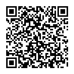 但缺少的却是那种在绝境之中逆流而上的经历和为了活下去不顾一切拼杀的魄力二维码生成