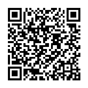 但罗亚显然也在暴食印记的影响之下出现了精神失常的症状二维码生成