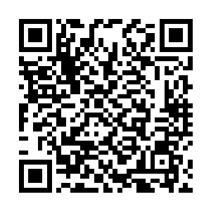 但罗杰的确真诚地认为他这也是为了珍妮弗的发展考虑二维码生成