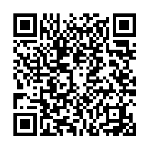 但耗费了严默大量生命能量的愿力效果却是实实在在的二维码生成