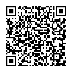 但肯定会遭到民解组织中激进分子以及包括孟所成二夫人等在内的各势力的觊觎二维码生成