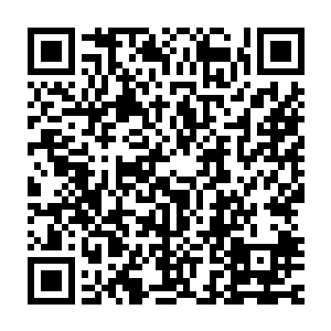但能像曾毅这样死皮赖脸磨着他去做以往不会做的事情的倒是没有二维码生成