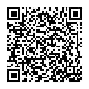 但若是杨锐在接下来的晶体结构和三维结构两个阶段毫无建树的话二维码生成