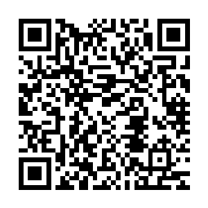 但血族强大的生命力却仍然能让他们继续存活相当长的一段时间二维码生成